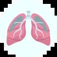 category-img