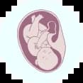 category-img