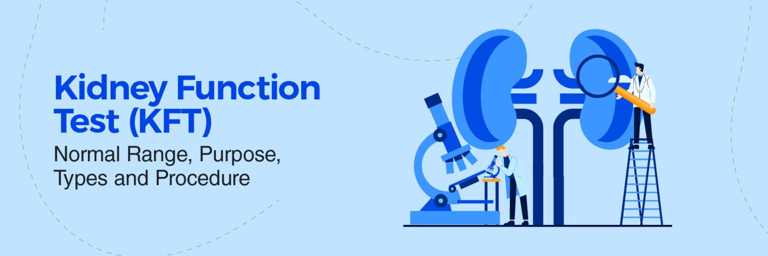 Kidney Function Test (KFT): Normal Range, Purpose, Types and Procedure for Kidney Health Assessment