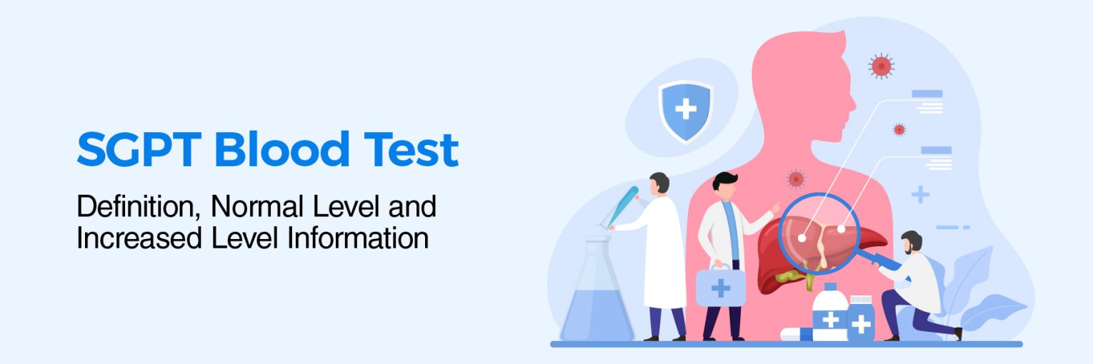 SGPT Blood Test: Definition, Normal Level, and Increased Level Information
